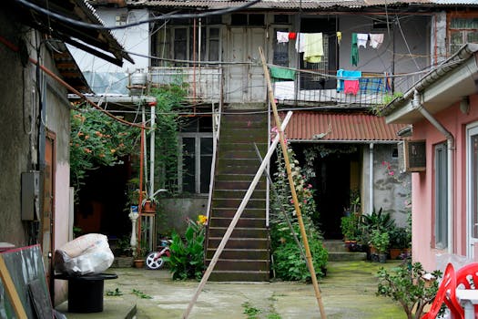 colorful balcony garden with various plants