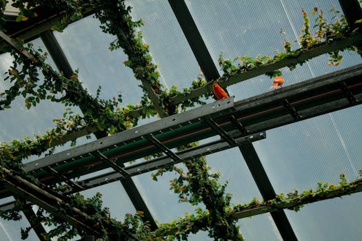 Urban rooftop garden with plants