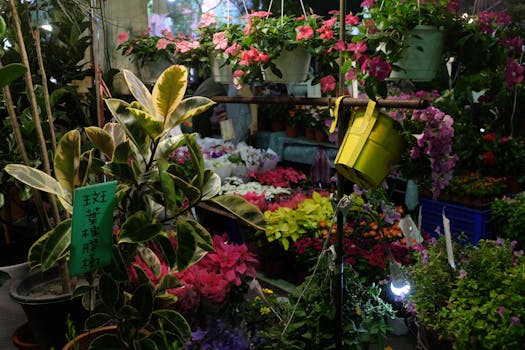colorful urban garden with various plants