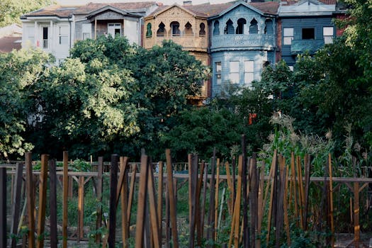 urban raised bed garden