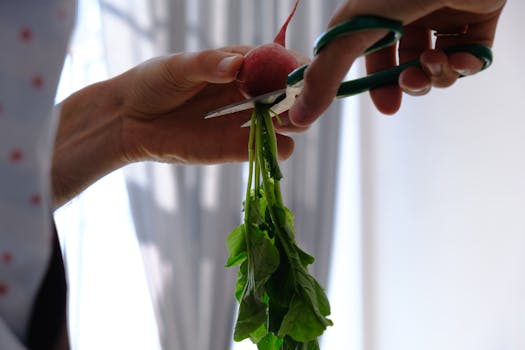 image of indoor vegetable garden