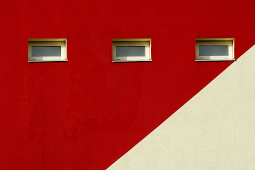 colorful urban garden in small space